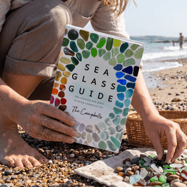 Sea Glass Guide Book alternative